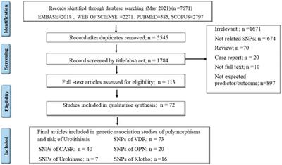 Genetic Polymorphisms and Kidney Stones Around the Globe: A Systematic Review and Meta-Analysis